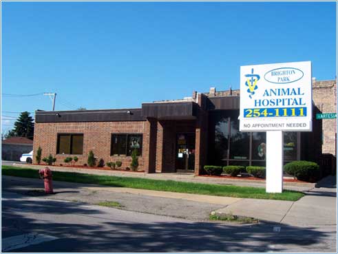 Brighton Park Animal Hospital - Veterinarian in Chicago, IL US